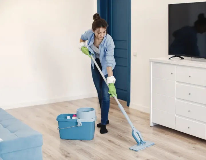 Femme de ménage Girac